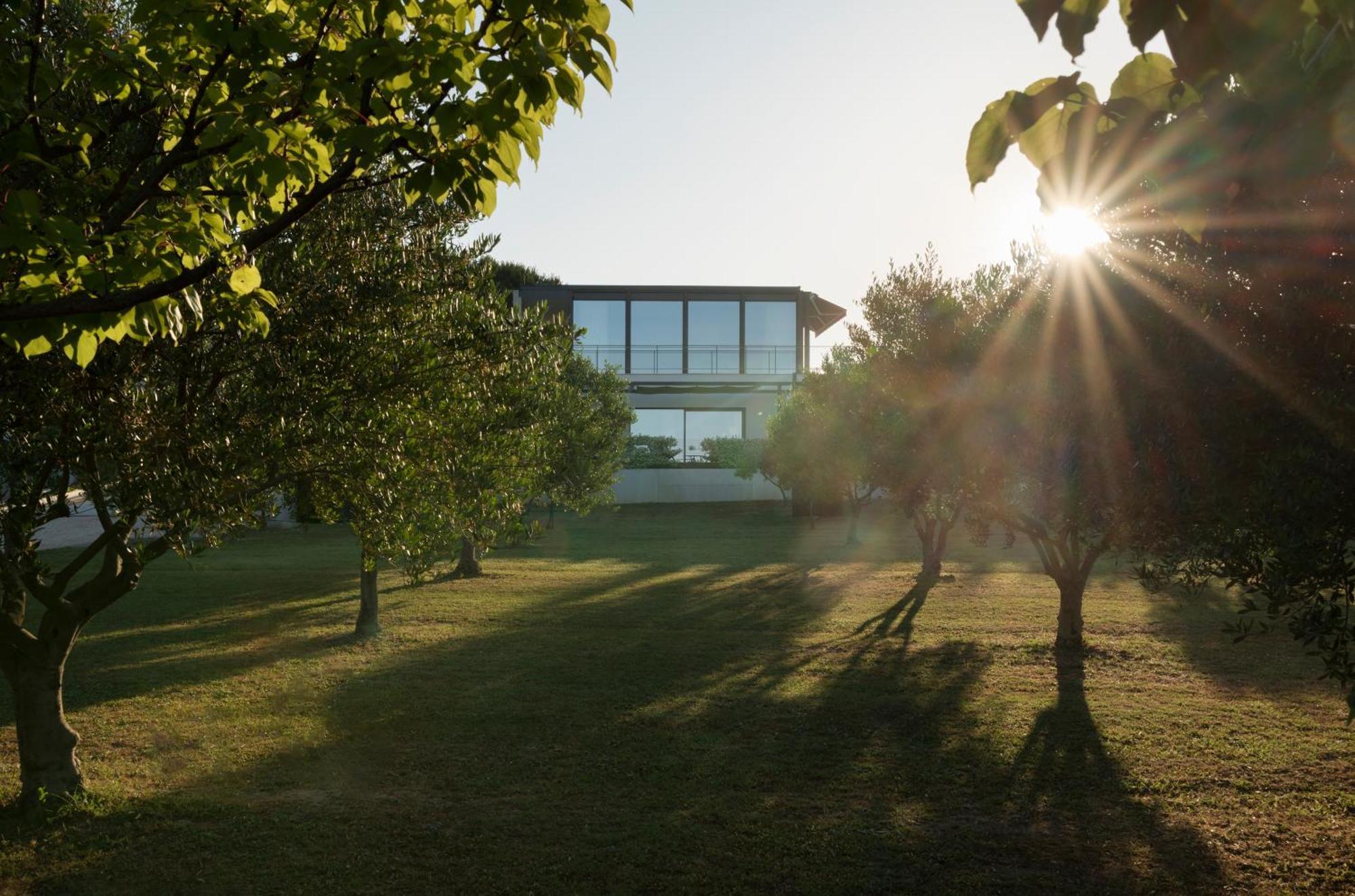 Villa Albina & Domenica Zára Szoba fotó